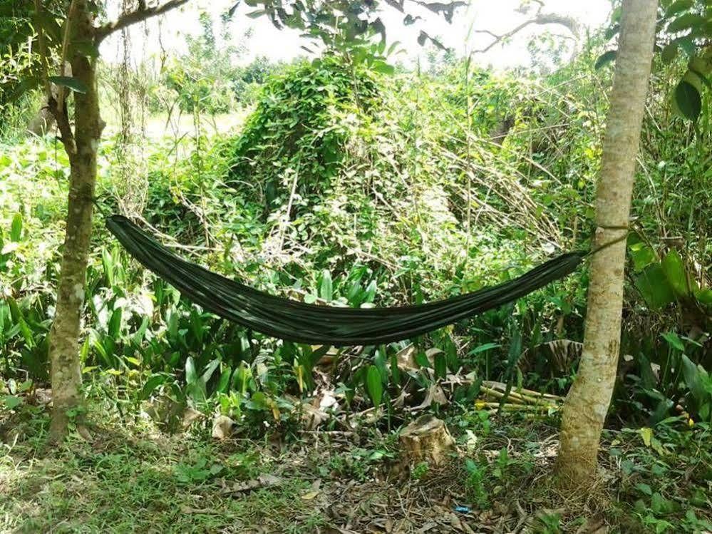 Green Village Homestay Cần Thơ Zewnętrze zdjęcie